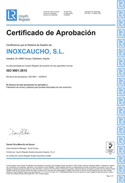 ISO 9001 ES